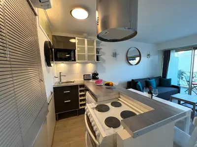 Cuisine ou kitchenette dans l'établissement Beau Soleil Standing Presta