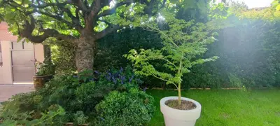 Jardin de l'établissement FRGK Coastal House , Garden Near Beaches & Ultra-Fast Wi-Fi