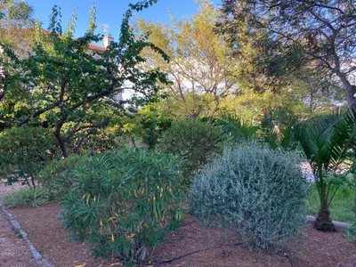 Jardin de l'établissement magnifique villa avec piscine