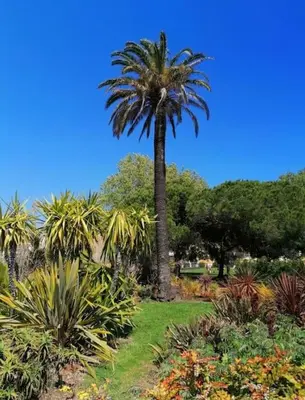 Jardin de l'établissement Charmant Studio rénové à Antibes, plage à 10 min à pied
