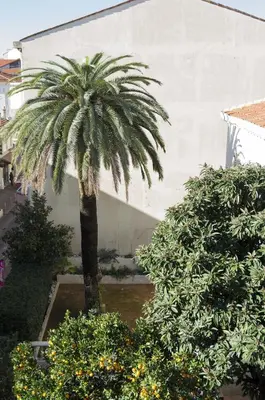 Jardin de l'établissement Appartement Cannes rue Marceau