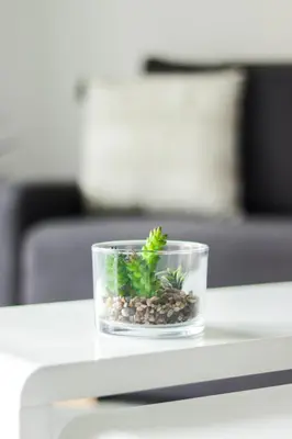 Coin salon dans l'établissement Appartement cosy à 2 pas de la Croisette