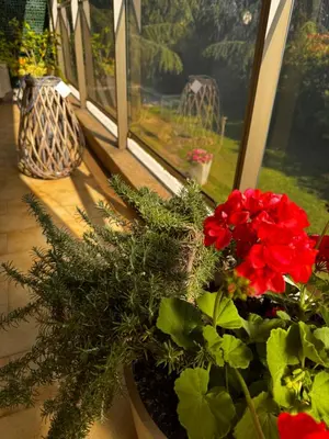Jardin de l'établissement Apt 