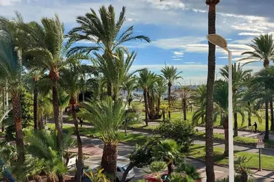 Jardin de l'établissement Cannes Croisette Loft vue mer