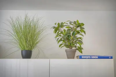 Plan de l'établissement Le Nico - Elégant - Centre - VCA