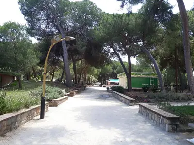 Jardin de l'établissement Le SORRENTO