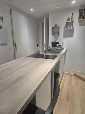 Cuisine ou kitchenette dans l'établissement Le Nid d Azur Duplex vue Mer Centre Ville