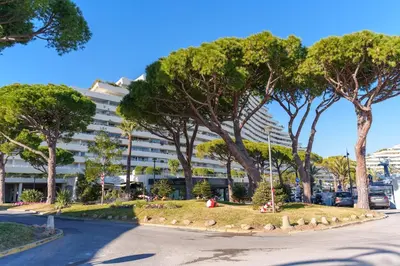Plan de l'établissement Studio en bord de plage