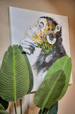 Plan de l'établissement Studio Cannes