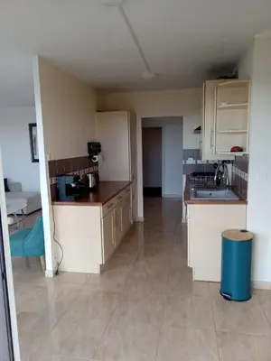 Cuisine ou kitchenette dans l'établissement Appartement avec vue mer à Antibes