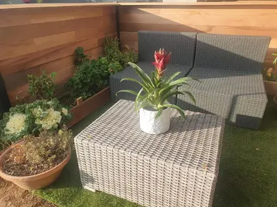 Jardin de l'établissement chambre jaccuzi vue mer