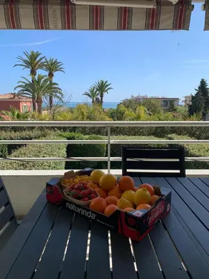 Nourriture dans l'appartement ou à proximité