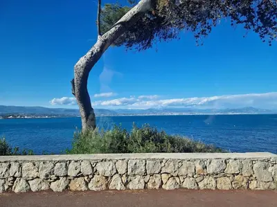 Paysage naturel près de l'appartement