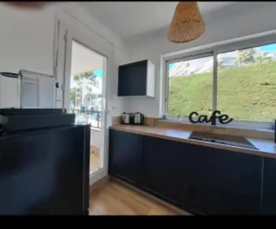 Cuisine ou kitchenette dans l'établissement Face à la mer et à 2 pas des plages Juan les Pins 'Tout à pied'