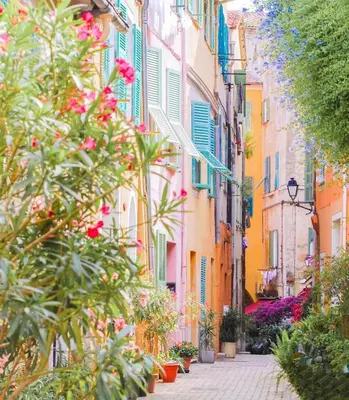 Jardin de l'établissement Studio Cosy Viel Antibes