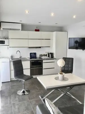 Cuisine ou kitchenette dans l'établissement Elegant F2 with all comforts in center of Cannes