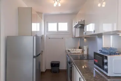 Cuisine ou kitchenette dans l'établissement Diplomate - 2 chambres, 15mn du Palais, charmant, balcon, clim