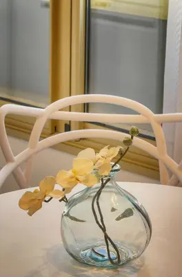 Plan de l'établissement Palace - Ultra center - 2 min sea - VCA