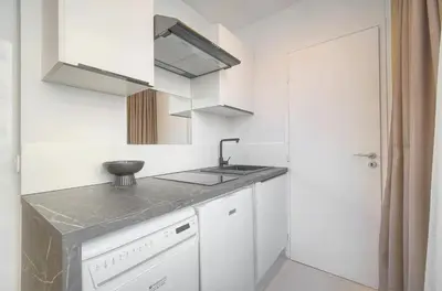 Cuisine ou kitchenette dans l'établissement Palace - Ultra center - 2 min sea - VCA
