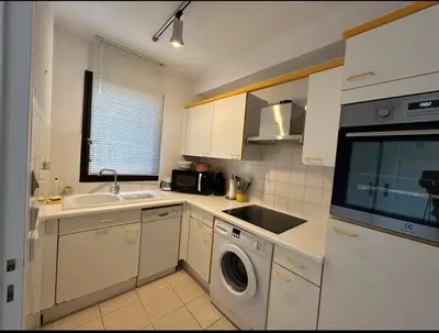 Cuisine ou kitchenette dans l'établissement Appartement Hauts de Vaugrenier