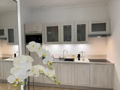 Cuisine ou kitchenette dans l'établissement Old town-Exceptional Apartment-in absolute calm