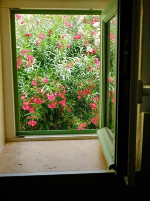 Jardin de l'établissement TDR - Fabulous - 5 STARS Terrace - 4pax Old Town