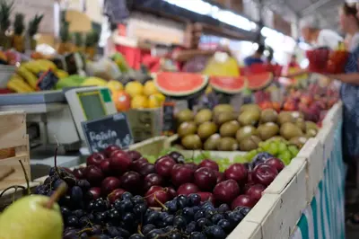 Nourriture dans l'appartement ou à proximité