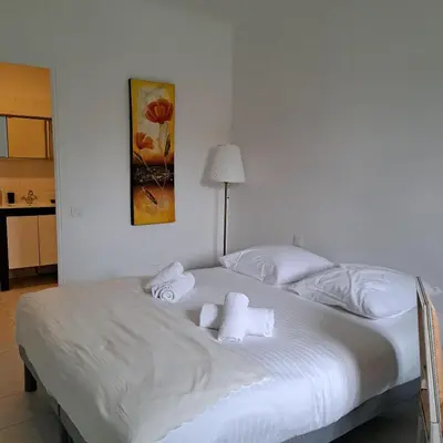 Un ou plusieurs lits dans un hébergement de l'établissement Appartement Spacieux dans une résidence Haut Standing