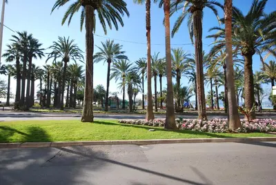 Jardin de l'établissement One bedroom apartment Palm Beach