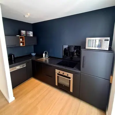 Cuisine ou kitchenette dans l'établissement 2 Bedrooms 5 min walk to Croisette