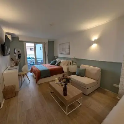 Luxury studio next to beaches and old town Antibes