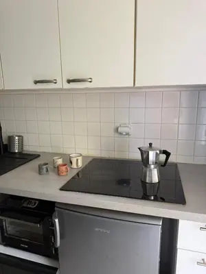 Cuisine ou kitchenette dans l'établissement Bright T2 Workspace & WiFi Fiber, 5 min to Sophia Antipolis, 10 to Antibes