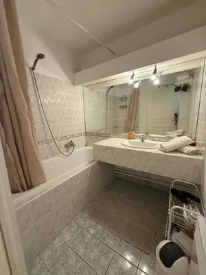 Salle de bains dans l'établissement Bright T2 Workspace & WiFi Fiber, 5 min to Sophia Antipolis, 10 to Antibes