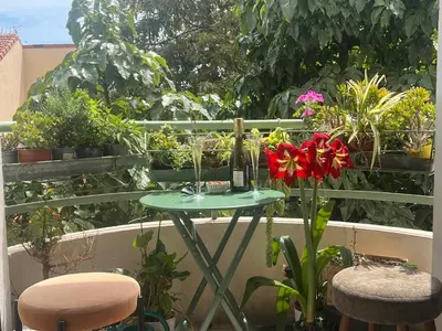 Balcon ou terrasse dans l'établissement Le Palais Antibois