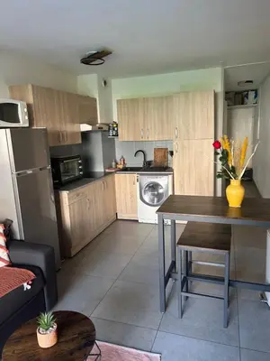 Cuisine ou kitchenette dans l'établissement Golf Juan Riviera, piscine, 5min plage