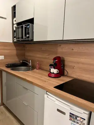Cuisine ou kitchenette dans l'établissement Juan-les-Pins 2 pièces avec parking & proches des plages