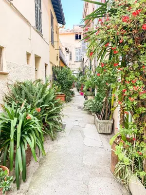 Jardin de l'établissement Koselig leilighet i Antibes