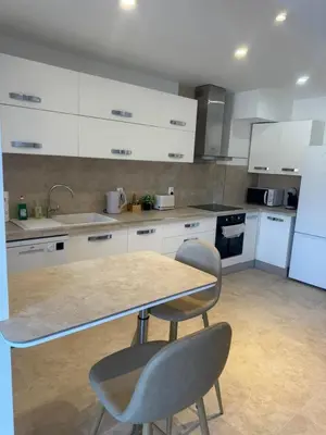 Cuisine ou kitchenette dans l'établissement Charmant T2 rénové avec grande terrasse