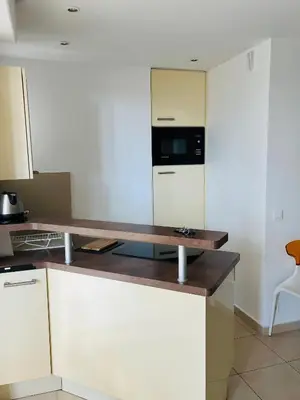 Cuisine ou kitchenette dans l'établissement Superbe 2 pièces à Cannes