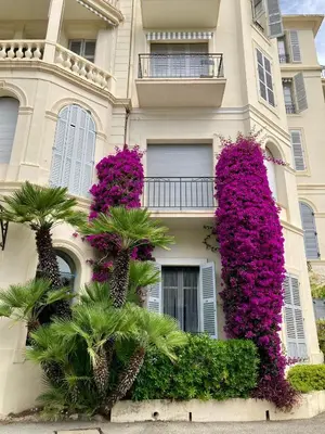 Jardin de l'établissement Superbe 2 pièces à Cannes
