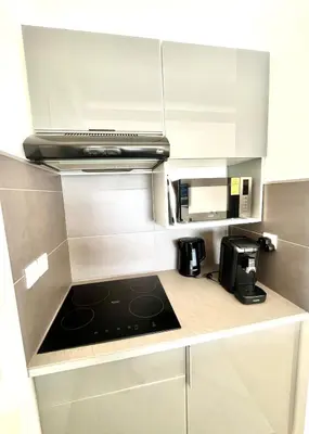 Cuisine ou kitchenette dans l'établissement Marina Baie studio vue mer et jardin avec clim