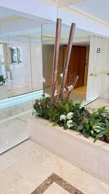 Plan de l'établissement Studio basse californie cannes