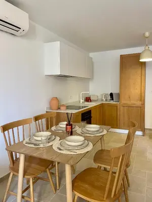 Cuisine ou kitchenette dans l'établissement Les Appartements de la rue Vial