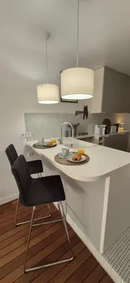 Cuisine ou kitchenette dans l'établissement Élégant cocon sur la croisette parking terrasse et jardin