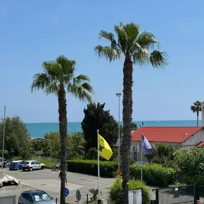 LE MAGALI