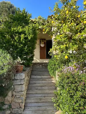 Jardin de l'établissement Maison provençale Antibes
