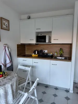 Cuisine ou kitchenette dans l'établissement Studio with terrace in the center with AC