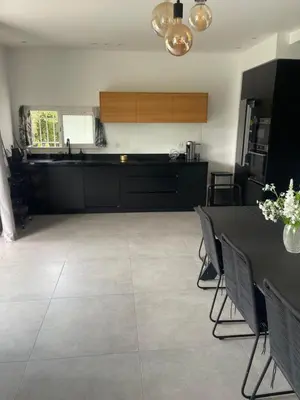 Cuisine ou kitchenette dans l'établissement Apparemment luxueux