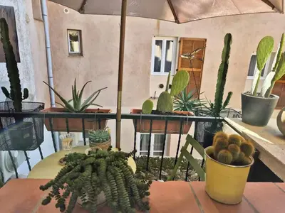Plan de l'établissement Le Cosy Antibois - Proche Marché Provençal