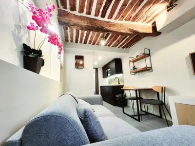 Télévision ou salle de divertissement dans l'établissement La Fourmi Azuréenne - Studio dans le Vieil Antibes